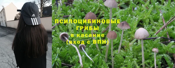 MDMA Premium VHQ Белокуриха