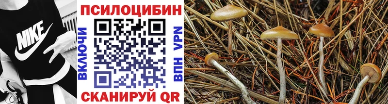 закладки  Верея  Галлюциногенные грибы мухоморы 