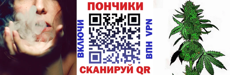 цена наркотик  Верея  Канабис сатива 